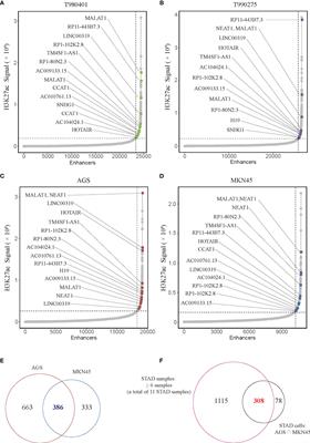 Immune Infiltration and Clinical Outcome of Super-Enhancer-Associated lncRNAs in Stomach Adenocarcinoma